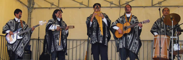 Grupo Siembra