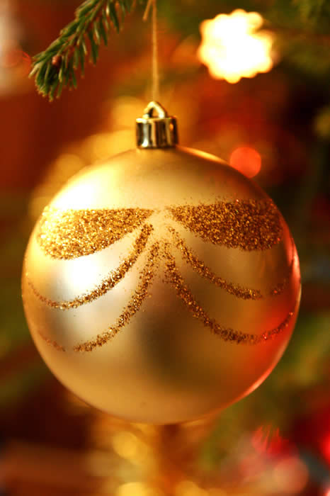 Voici No&euml;l
