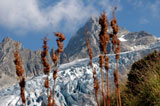 Glacier du Trient